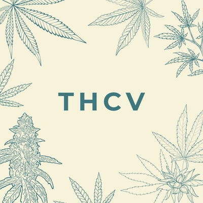 THC-V