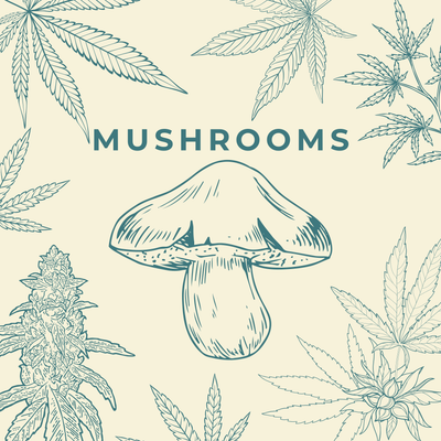 Mushrooms