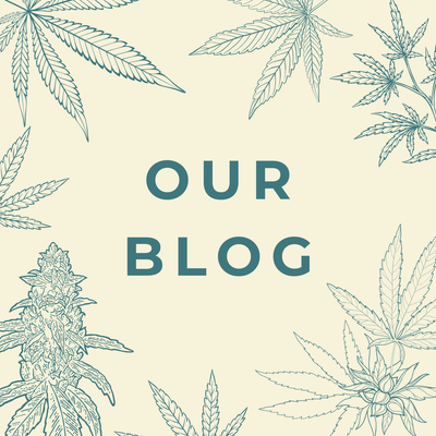 Our Blog