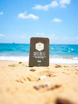 Bee Well CBD Wellness Full Spectrum Gummies 1ct 50mg