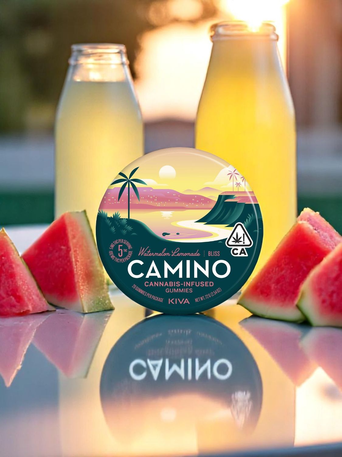 Camino Hemp Gummy 100mg Delta 9 20ct