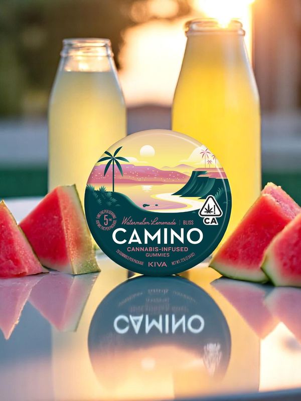 Camino Hemp Gummy 100mg Delta 9 20ct