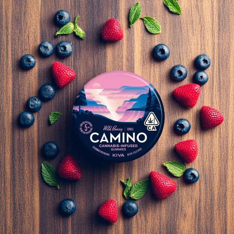 Camino Hemp Gummy 100mg Delta 9 20ct