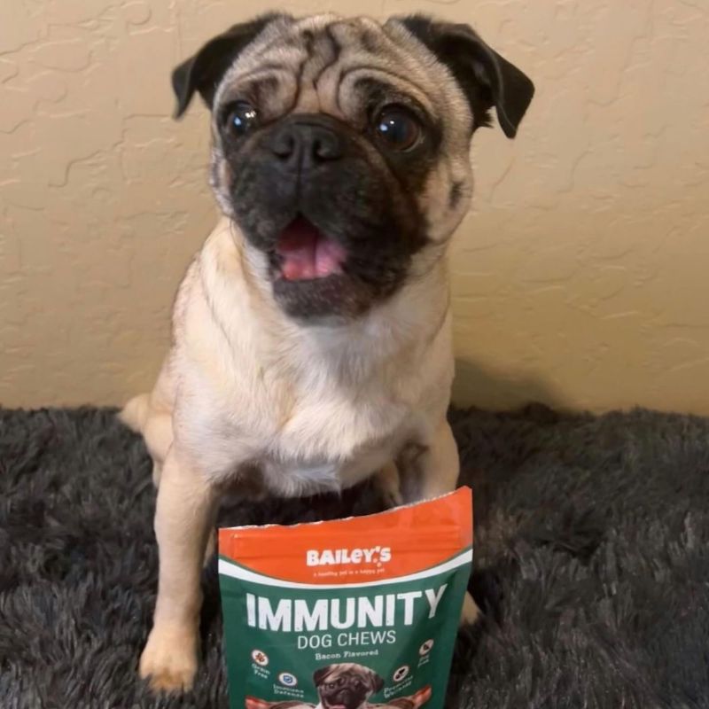 Bailey&#39;s Immunity Mushroom Dog Chews 30ct Bacon Flavored