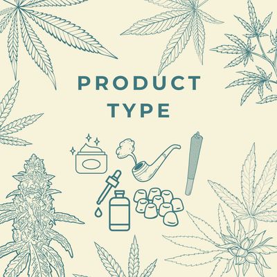 By Product Type