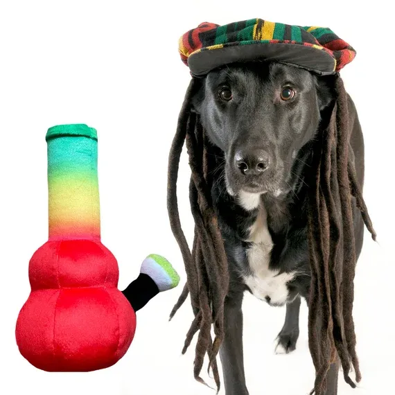 Paw:20 Bo Da Bong Rasta Squeaker Dog Toy 10" x 6"