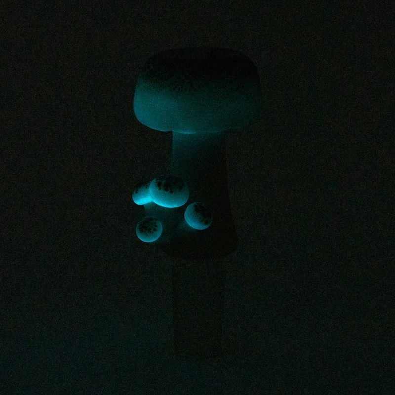 Empire Glassworks Bowl Mushroom UV Reactive 14mm
