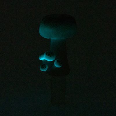 Empire Glassworks Bowl Mushroom UV Reactive 14mm