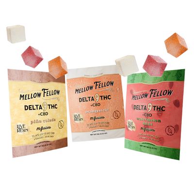Mellow Fellow M-Fusion Seasonal Selection 40mg 2ct - Summer '24