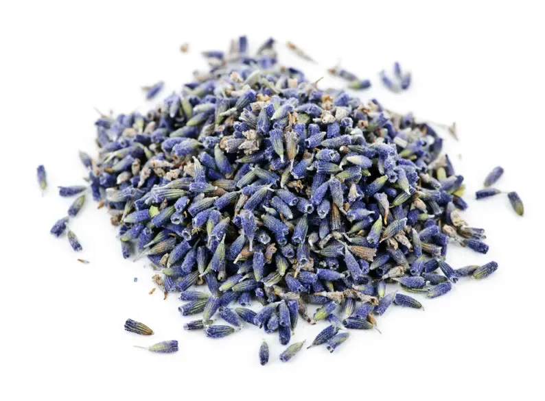 Bee Well Organic Botanicals Lavender 1oz