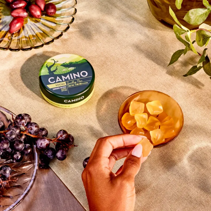 Camino Sparkling Pear Social 2mg Delta 9 THC : 6mg CBD Gummies