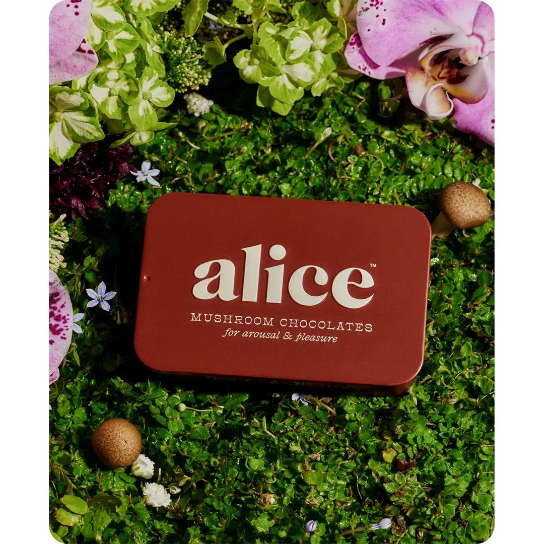 Alice Mushroom Happy Ending Arousal Chocolates