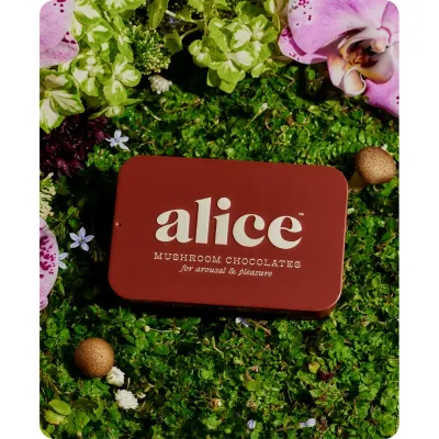 Chocolates afrodisíacos Alice Mushroom Happy Ending