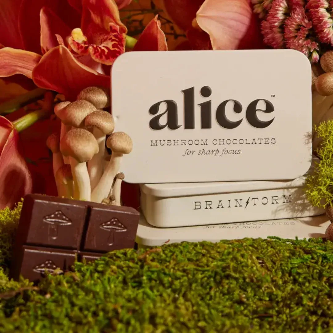 Alice Mushroom BrainStorm Chocolates