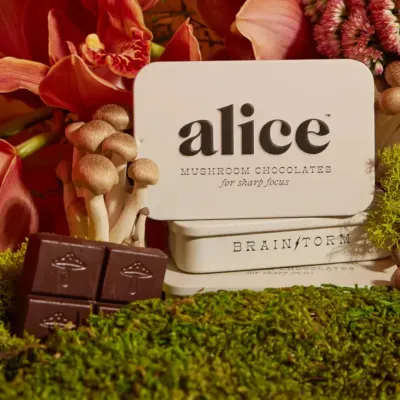 Alice Mushroom BrainStorm Chocolates
