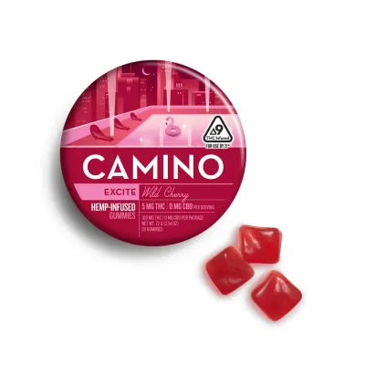 Camino Hemp Gummy 100mg Delta 9 20ct Excite Wild Cherry