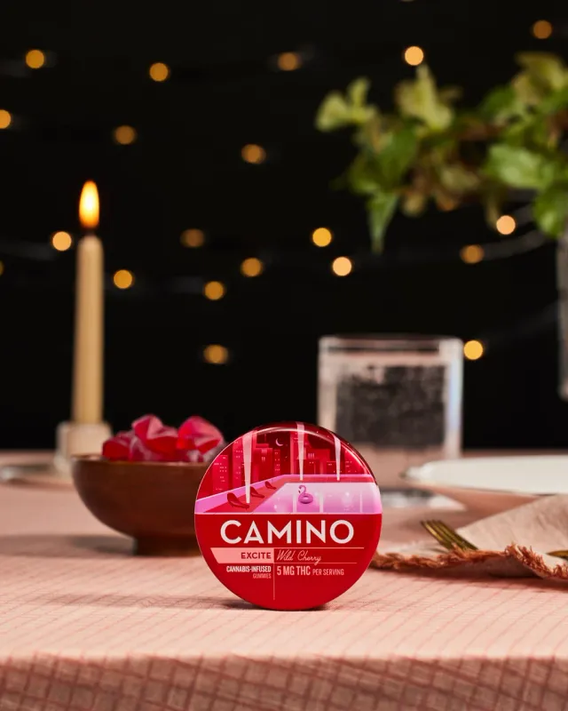 Camino Hemp Gummy 100mg Delta 9 20ct Excite Wild Cherry