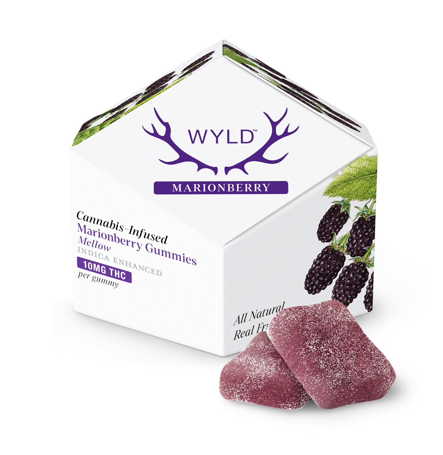 WYLD Hemp Delta 9 THC Gummies Marionberry