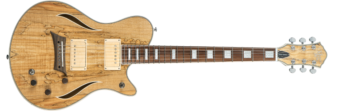 Michael Kelly Guitar Co. Hybrid Special Spalted Maple Electric Guitar