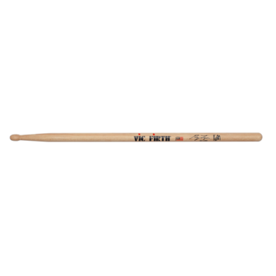 Signature Series - Ray Luzier