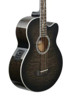 Acoustic -Electric Bass