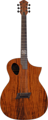 Acoustic Guitars