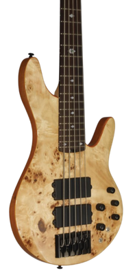 Electric Bass