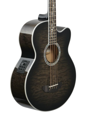 Acoustic -Electric Bass