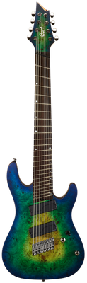 8 String Guitars