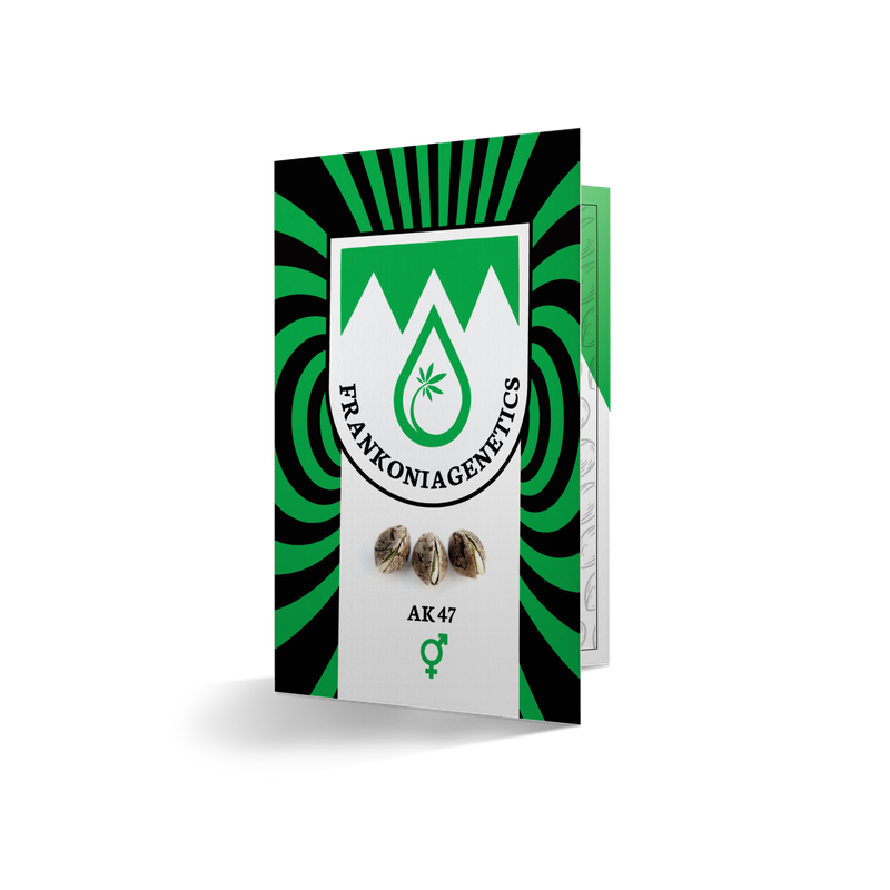 AK 47 REGULAR 5 SEEDS