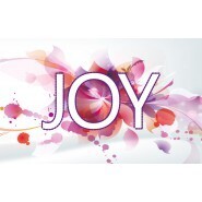FLAVOUART joy e-motions Joy