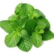 Aroma The Perfumers Apprentice 15ml Spearmint