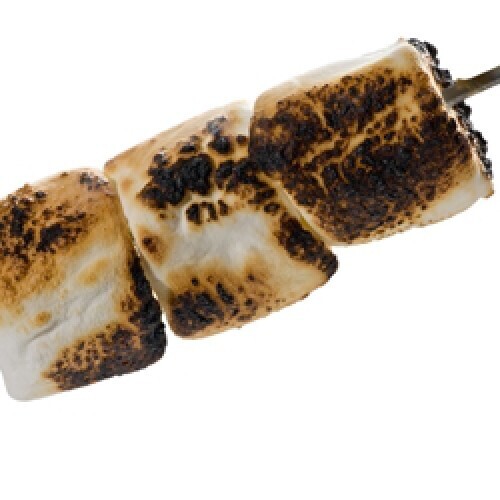 Aroma The Perfumers Apprentice 15ml Aroma Toasted Marshmallow
