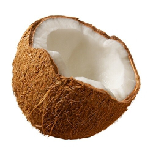 Aroma The Perfumers Apprentice 15ml Aroma Coconut