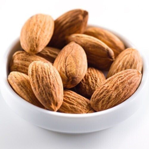 Aroma The Perfumers Apprentice 15ml Aroma Toasted Almond