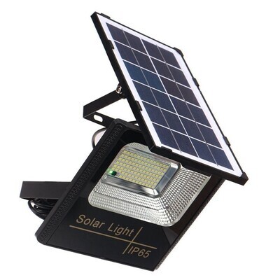SOLAR-POWERED LIGHTS &amp; MOTION SENSOR