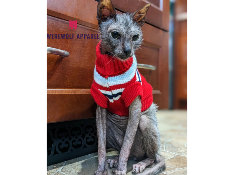 Loki&#39;s Favorite Sweater