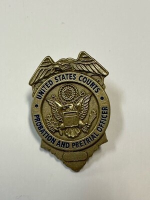 US COURTS LAPEL PIN