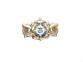 MLETP Graduation Pin