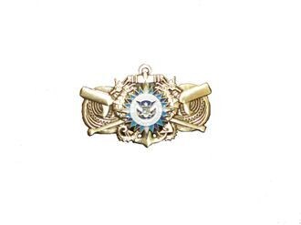 MLETP Graduation Pin