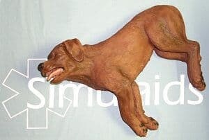 PetSaver Canine CPR First Aid Course