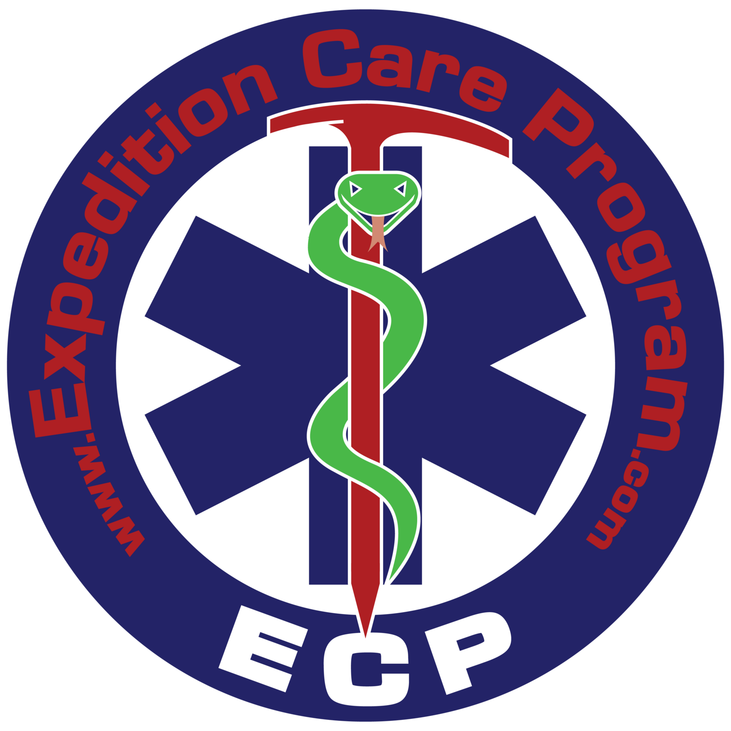 ECP Medic Course