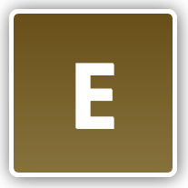 NON MEMBER BROWN RING - SIZE E