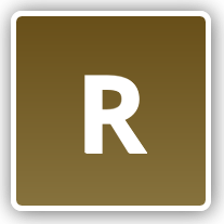 NON MEMBER BROWN RING - SIZE R