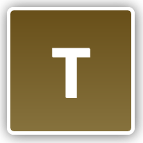 NON MEMBER BROWN RING - SIZE T