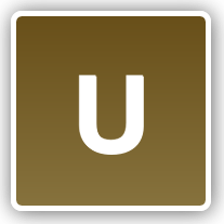 NON MEMBER BROWN RING - SIZE U