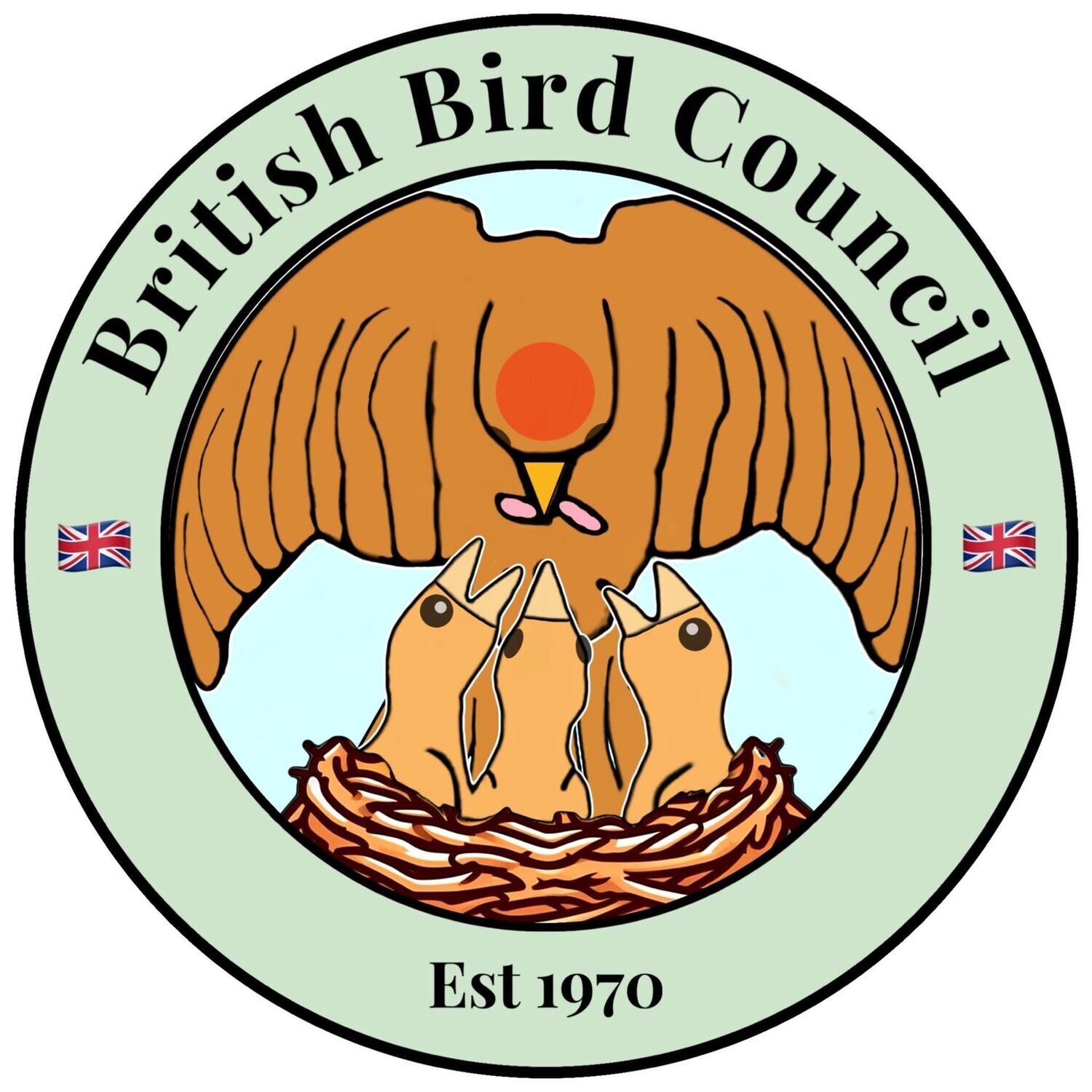 Adult Membership