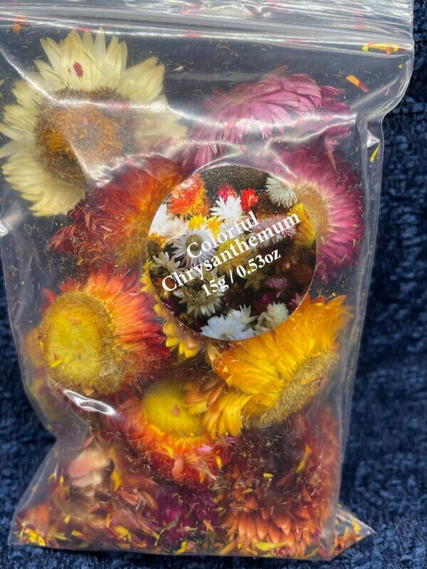 Colorful Chrysanthemum