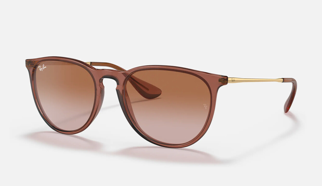 Rayban Erika Transparent Brown / Brown