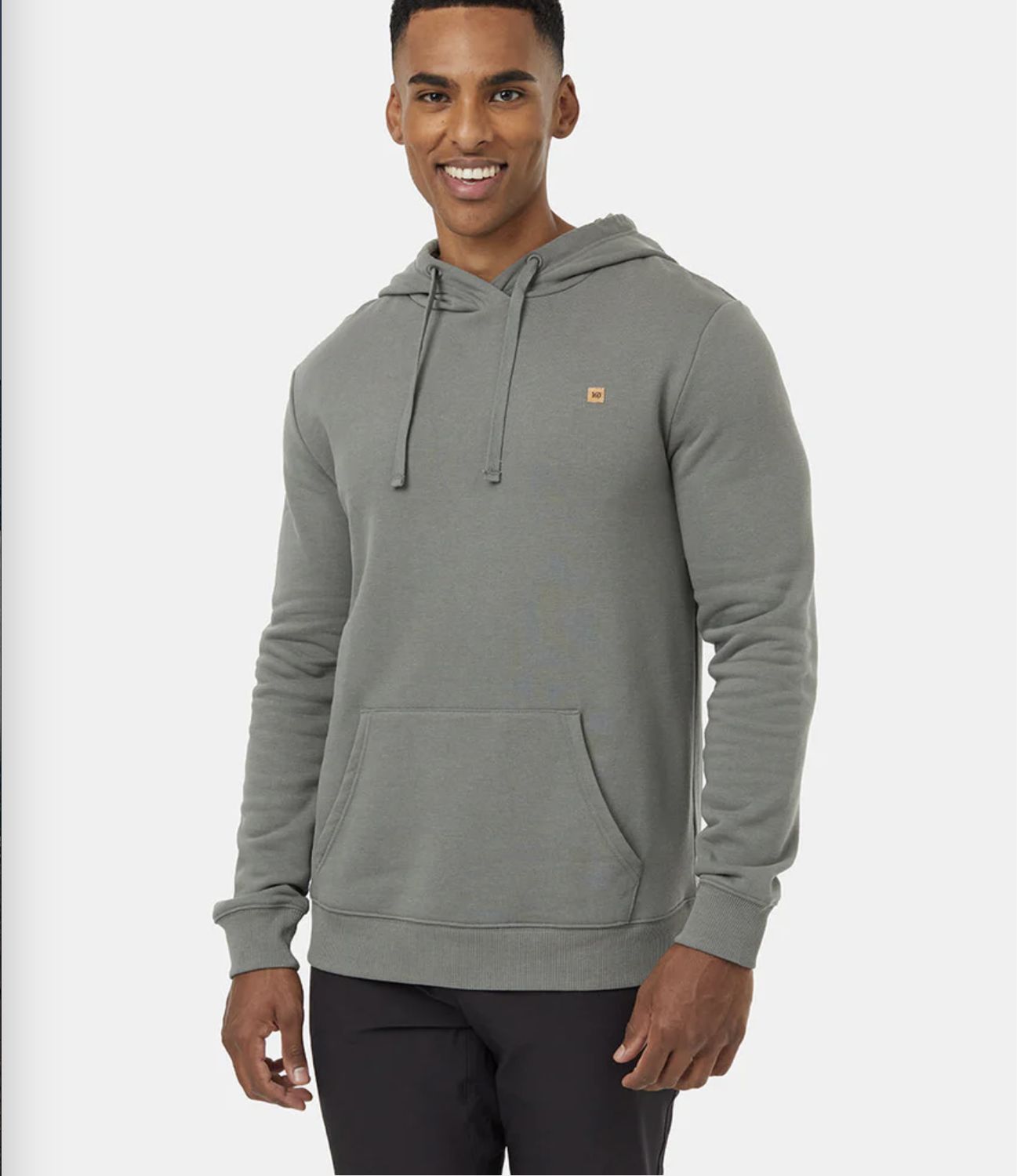 Tentree Raynard Mineral Hoodie